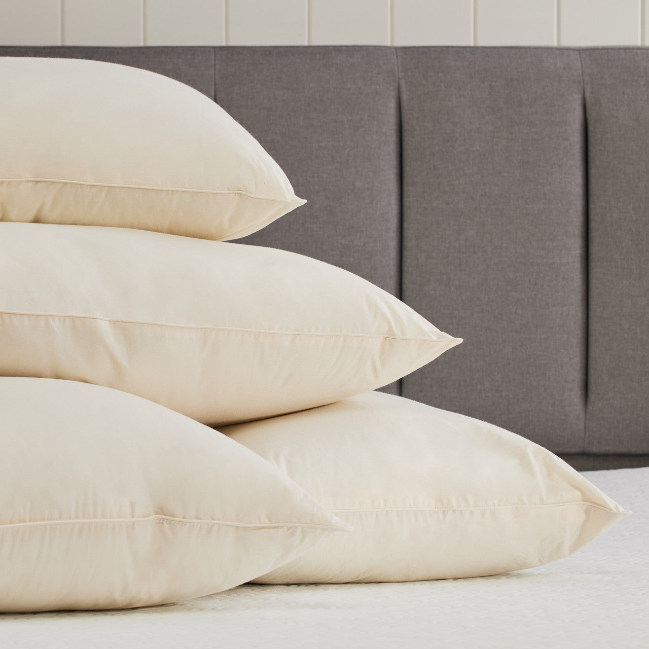 Bloom 有機棉枕頭｜Bloom Organic Cotton Pillow