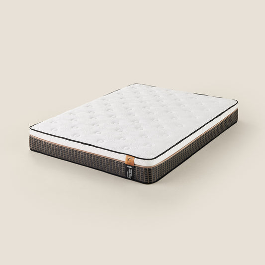 Distinction Series Springwall Chiropractic Harbour 床褥｜Distinction Series Springwall Chiropractic Harbour Mattress